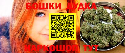 jwh Новозыбков