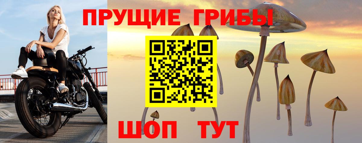 Галлюциногенные грибы MAGIC MUSHROOMS  Вход с VPN  Сыктывкар 